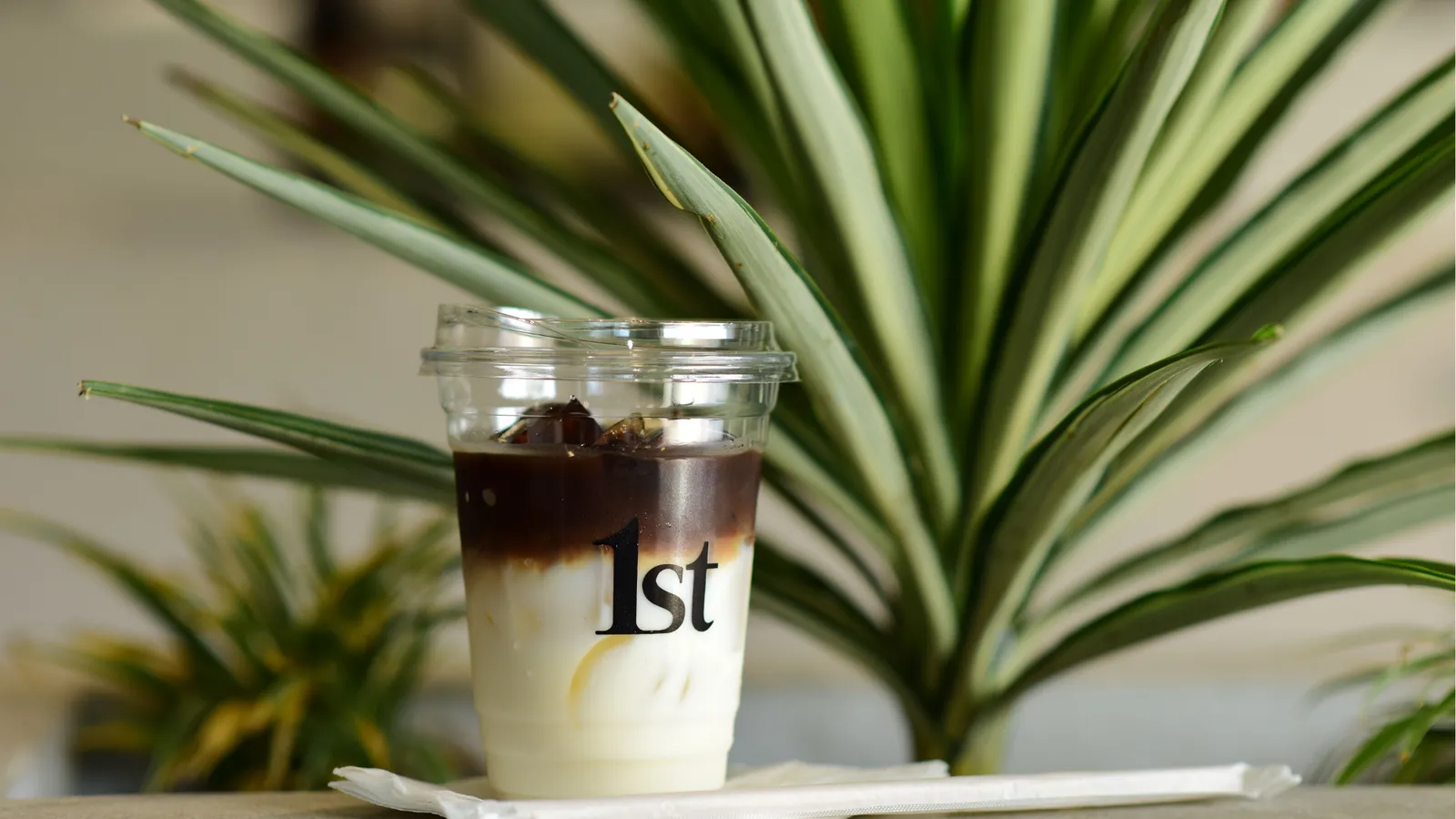 Ice Latte